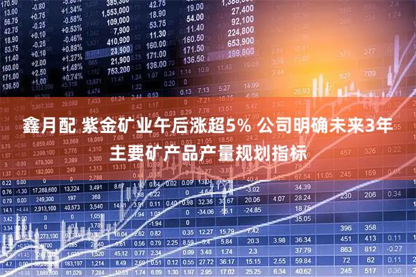 鑫月配 紫金矿业午后涨超5% 公司明确未来3年主要矿产品产量规划指标